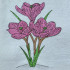Purple Crocus Flowers