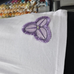 Purple Fringe Lily Flower