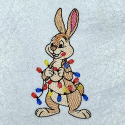 Rabbit Tangled In Christmas Lights