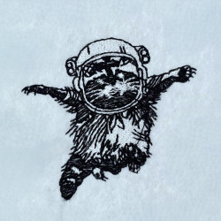 Raccoon In The Space