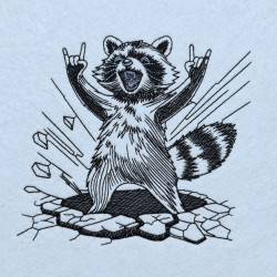 Raccoon On Rock