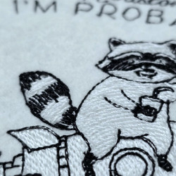 Raccoon Rocket Humor Quote