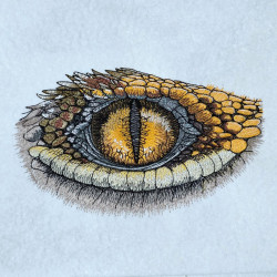 Realistic Lizard Eye