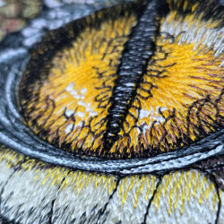 Realistic Lizard Eye