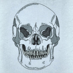 Realistic Human Skull