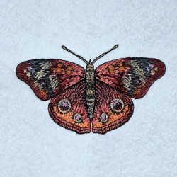 Red Garden Butterfly