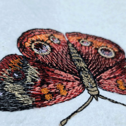 Red Garden Butterfly