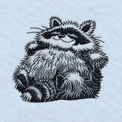 Relaxed Fluffy Raccoon