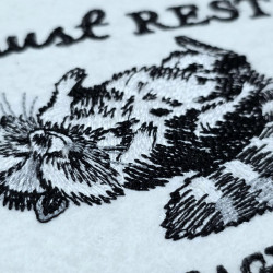 Resting Raccoon Funny Quote