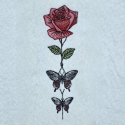 Rose And Butterfly Bliss