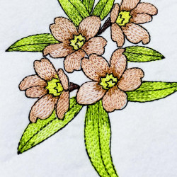 Rustic Wildflower