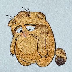 Sad Chubby Cat