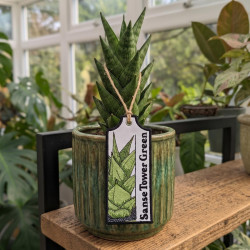 Sanse Tower Green ITH Plant Tag