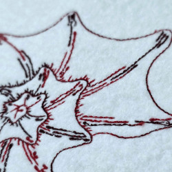 Seashell Spiral Line Art