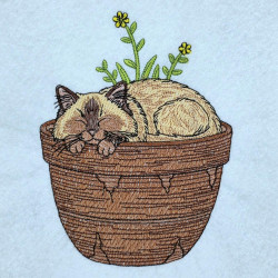 Sleeping Cat In Flower Pot