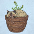 Sleeping Cat In Flower Pot