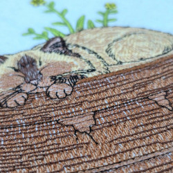 Sleeping Cat In Flower Pot