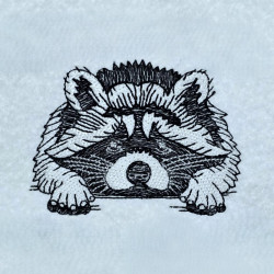 Sleepy Sad Raccoon