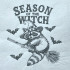 Spooky Raccoon On A Broom