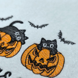 Spooky Season Black Cats In Pumpkins