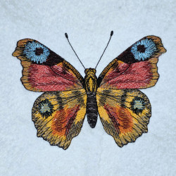 Spring Meadow Butterfly