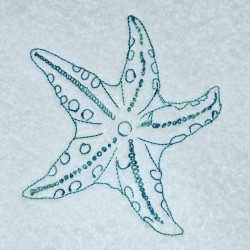 Starfish Line Art
