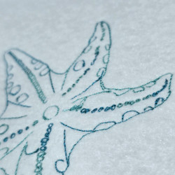 Starfish Line Art