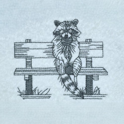 Still Waiting Moment Raccoon