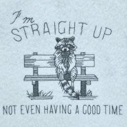 Straight Up Raccoon Not Having Fun Quote