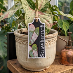 Strawberry-S ITH Plant Tag