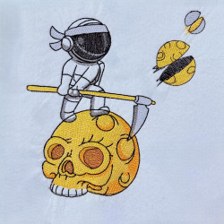The Ninja Astronaut