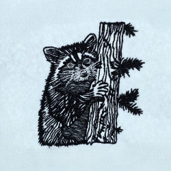 Tree Climbing Raccoon