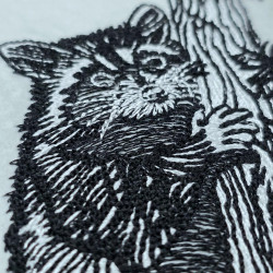 Tree Climbing Raccoon