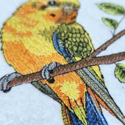 Tropical Parrot Perch