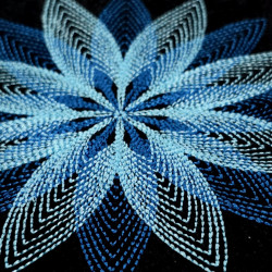 Twelve Petal Blending Star Flower