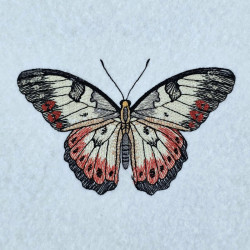 Velvet Twilight Butterfly