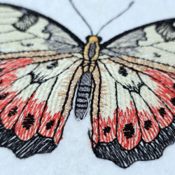 Velvet Twilight Butterfly