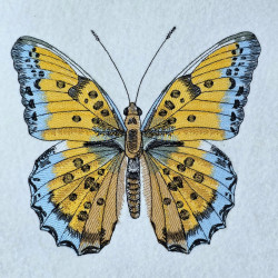 Vintage Golden Butterfly