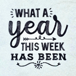 What A Year Funny Quote