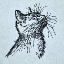 Whiskers Cat Sketch Portrait