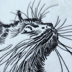 Whiskers Cat Sketch Portrait