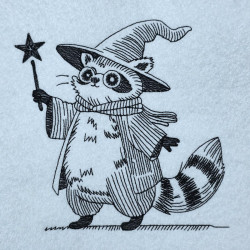 Wizard Raccoon