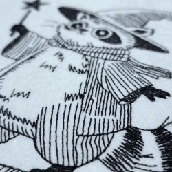 Wizard Raccoon