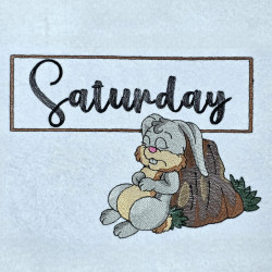 Worn Out Bunny Saturday