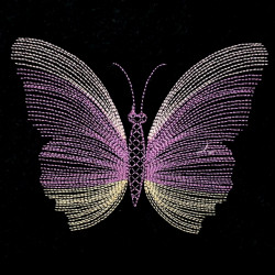 Yellow Orange Blending Butterfly