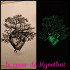 Anatomical Human Heart