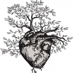 Anatomical Human Heart