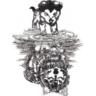 Canine Reflections Wolf