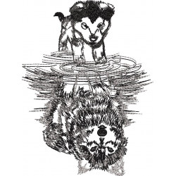 Canine Reflections Wolf
