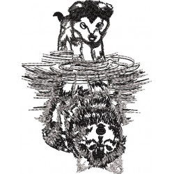 Canine Reflections Wolf
